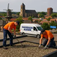 “Dakdekkers op grinddak met uitzicht op de Schildkerk, Pelmolen Ter Horst en Rijssen-skyline.”