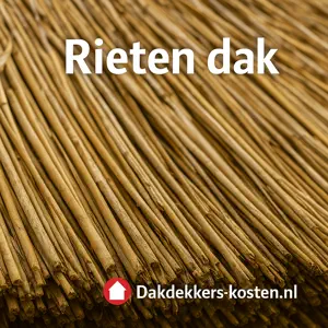 Rieten dakbedekking van natuurlijk riet voor traditionele rieten daken