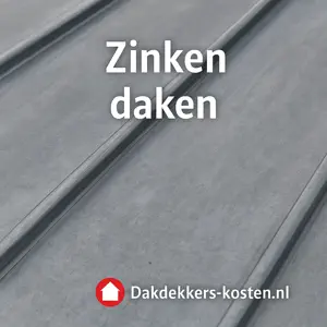 Zinken dakbedekking op een zinken dak met staande naden